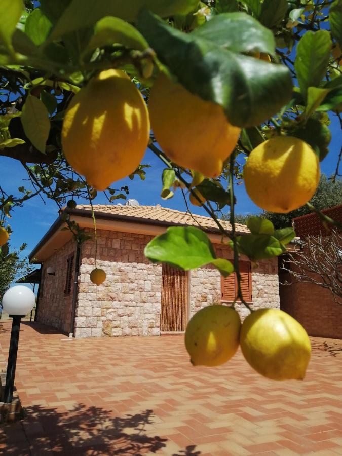 Villa Verde Cefalù Exterior foto