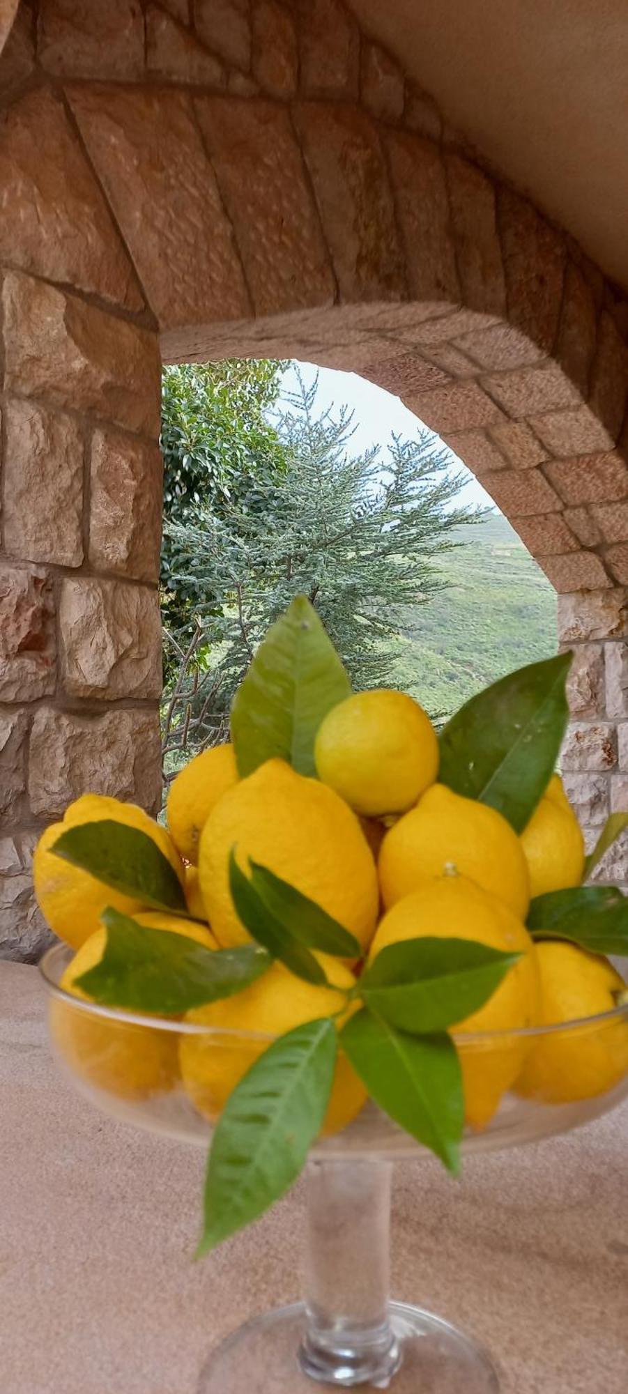 Villa Verde Cefalù Exterior foto